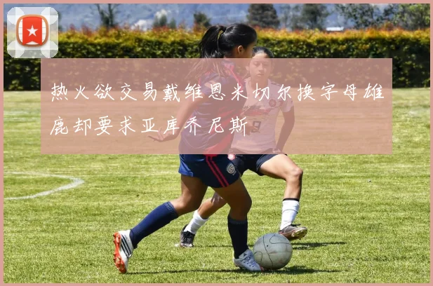 热火欲交易戴维恩米切尔换字母雄鹿却要求亚库乔尼斯