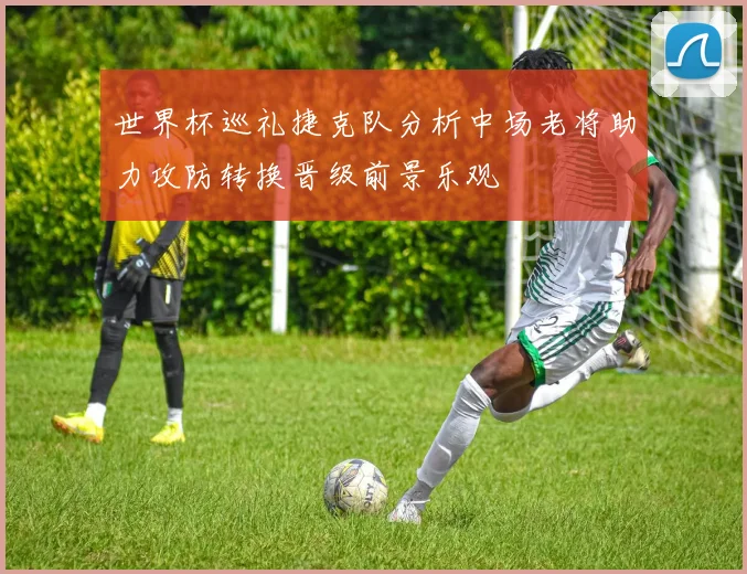 世界杯巡礼捷克队分析中场老将助力攻防转换晋级前景乐观