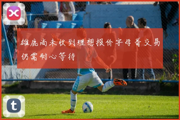 雄鹿尚未收到理想报价字母哥交易仍需耐心等待